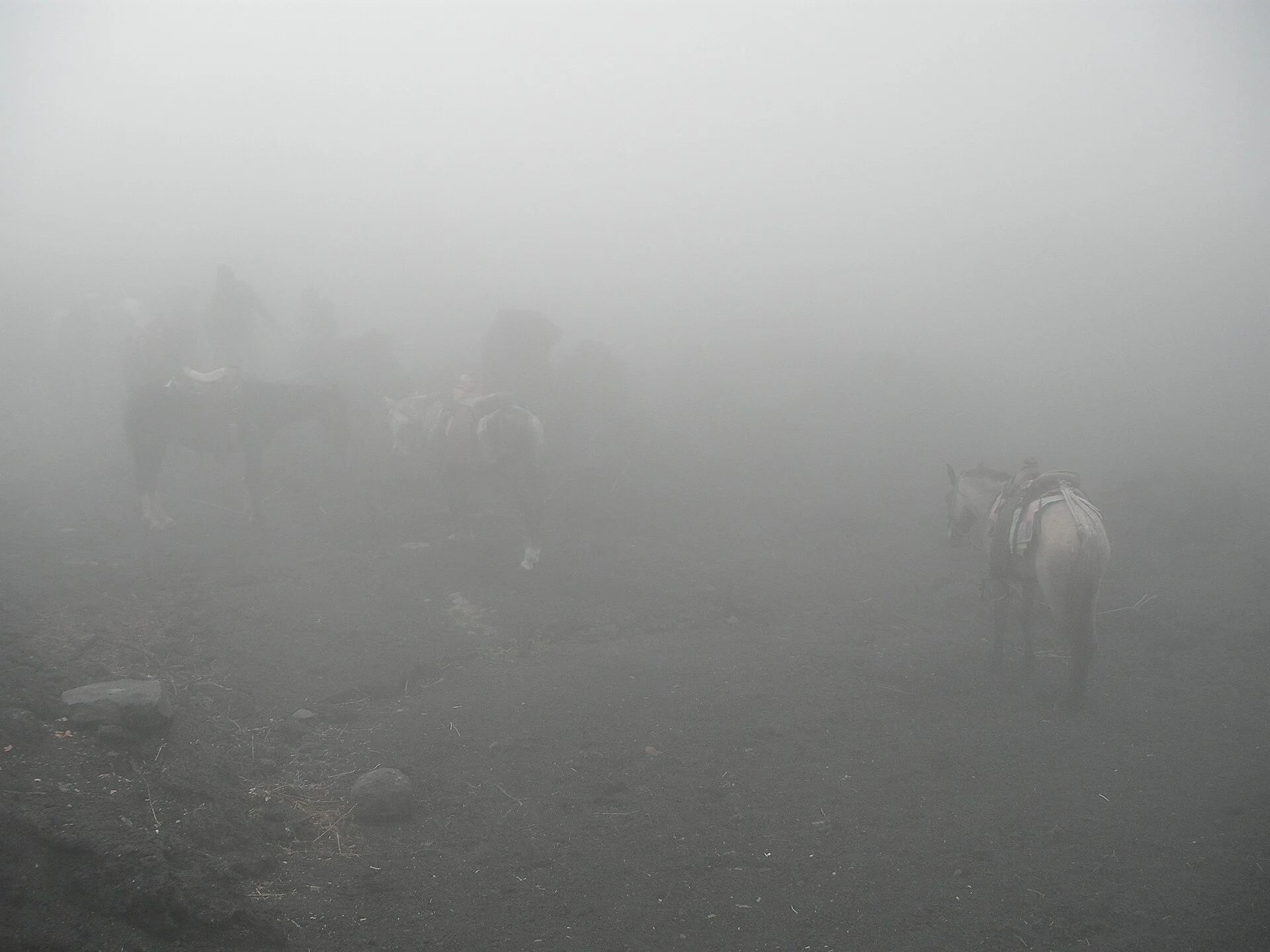 Historical foggy view in the Pacaya volcanic landscape